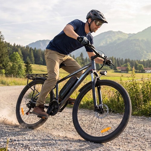 Electric bicycle zazawork c29 - electric,
