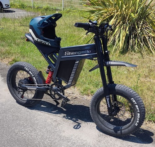 Fat tyre electric bike - fat,