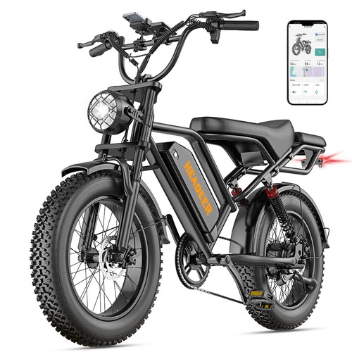 Fat tire bike 48v20ah - tire,