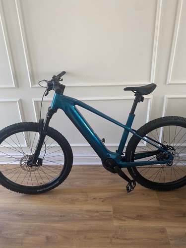 Electric mountain bike men - electric,