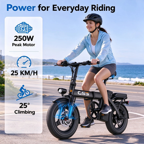 250w 25km adult gs3 - 25km/h, folding