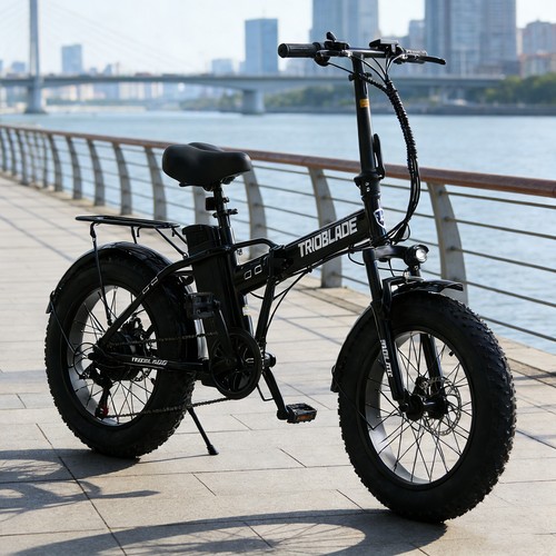 Adults electric bike 20x4 - adults,