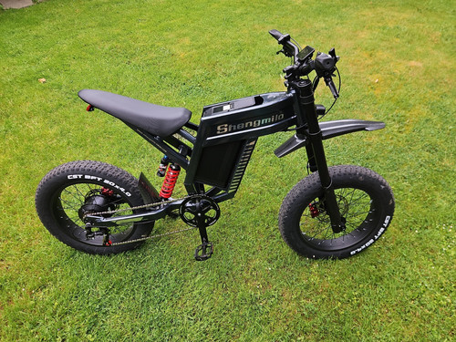 Electric bike adults 0 - adults, x4.0