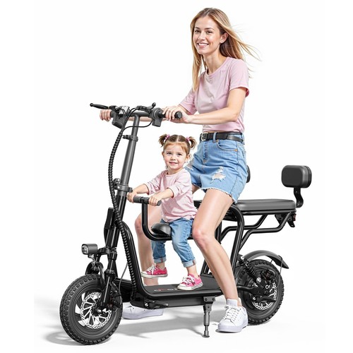 City bike with passenger - city,