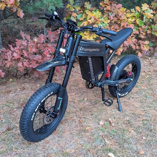 Fat tire electric bike - 20", for