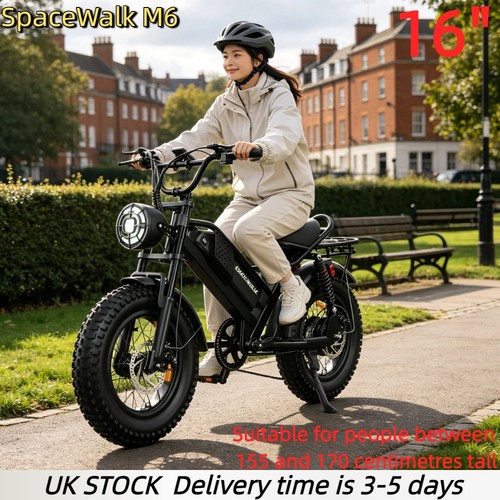 250w electric bike - 250w,