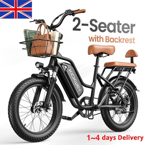 250w seater electric bikes - electric,