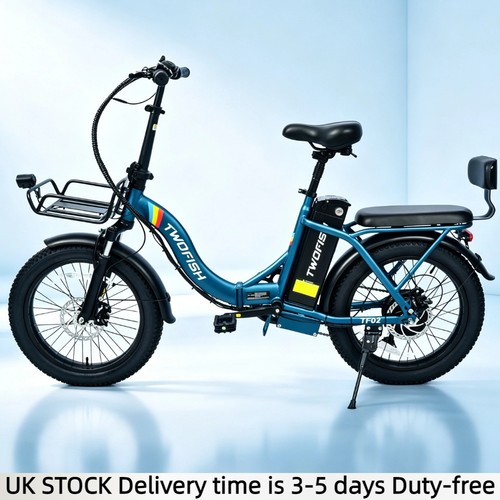 Electric bike 20in folding - electric,