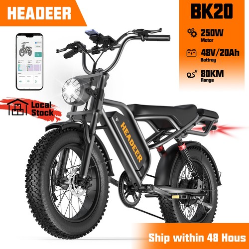 Electric fat tyre - electric, 20