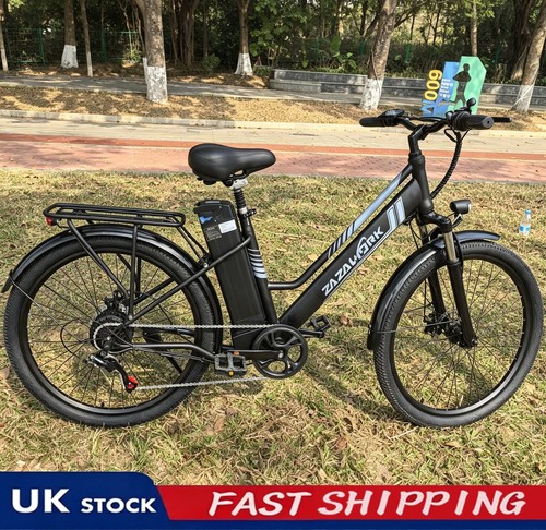 Adult electric bike - bike, for