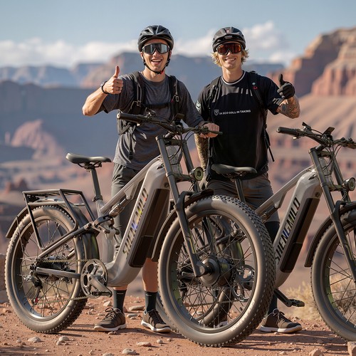 Dual motor electric - electric, bike