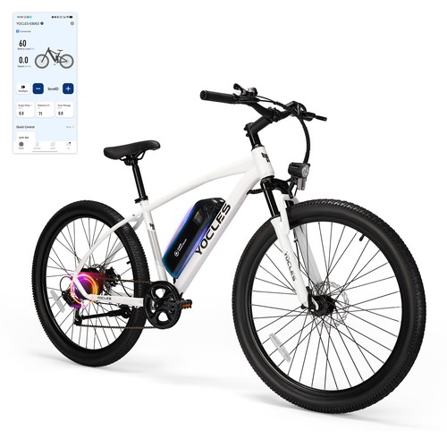 Electric bike for adult - bike,